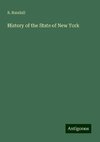 History of the State of New York