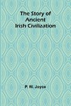 The Story of Ancient Irish Civilization