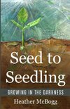 Seed to Seedling, Growing in the Darkness