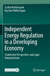 Independent Energy Regulation in a Developing Economy