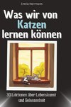 Was wir von Katzen lernen können