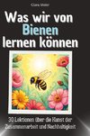 Was wir von Bienen lernen können