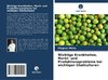 Wichtige Krankheiten, Markt- und Produktionsprobleme bei wichtigen Obstkulturen