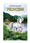 A Pony Named Princess