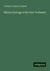 Biblical theology of the New Testament