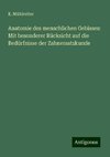 Anatomie des menschlichen Gebisses: Mit besonderer Rücksicht auf die Bedürfnisse der Zahnersatzkunde