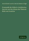 Grammatik der biblisch-chaldäischen Sprache und des Idioms des Thalmud Babli: ein Grundriss