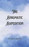 The Enigmatic Expedition