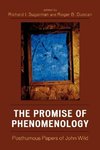 Promise of Phenomenology