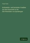 Kohlenkalk- und Zechstein-Fossilien aus dem Hornsund an der Süd-Westküste von Spitzbergen