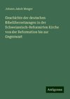 Geschichte der deutschen Bibelübersetzungen in der Schweizerisch-Reformirten Kirche von der Reformation bis zur Gegenwart