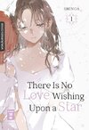 There Is No Love Wishing Upon a Star 01