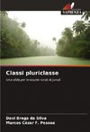 Classi pluriclasse