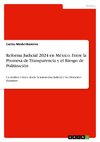 Reforma Judicial 2024  en México. Entre la Promesa de Transparencia y el Riesgo de Politización