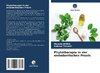 Phytotherapie in der endodontischen Praxis