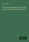 First Steps Among Figures: A Drill Book in the Fundamental Rules of Arithmetic