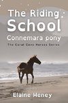 The Riding School Connemara Pony - Dyslexia Friendly