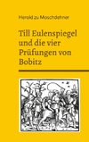 Till Eulenspiegel und die vier Prüfungen von Bobitz