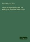 Sagartia troglodytes Gosse, ein Beitrag zur Anatomie der Actinien