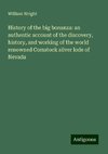 History of the big bonanza: an authentic account of the discovery, history, and working of the world renowned Comstock silver lode of Nevada