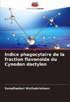 Indice phagocytaire de la fraction flavonoïde du Cynodon dactylon