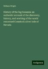 History of the big bonanza: an authentic account of the discovery, history, and working of the world renowned Comstock silver lode of Nevada