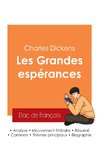 Réussir son Bac de français 2025 : Analyse du roman Les Grandes espérances de Charles Dickens