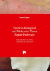 Pearls in Biological and Molecular Tissue Repair Pathways