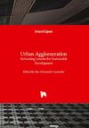 Urban Agglomeration - Extracting Lessons for Sustainable Development