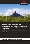 From the dream of freedom to migration for capital