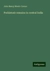 Prehistoric remains in central India