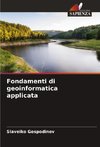 Fondamenti di geoinformatica applicata