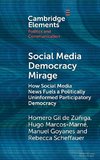 Social Media Democracy Mirage