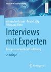 Interviews mit Experten