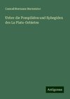 Ueber die Pompiliden und Sphegiden des La Plata-Gebietes