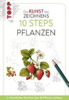 Die Kunst des Zeichnens 10 Steps - Pflanzen