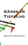 Gänse im Tiefflug