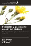 Detección y gestión del pulgón del cártamo