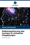 Selbstregulierung des Lernens in virtuellen Umgebungen