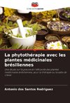 La phytothérapie avec les plantes médicinales brésiliennes