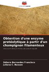 Obtention d'une enzyme protéolytique à partir d'un champignon filamenteux