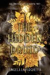 The Hidden Druid The Innisfail Cycle Book Two