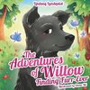 The Adventures of Willow