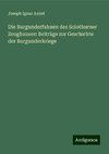 Die Burgunderfahnen des Solothurner Zeughauses: Beiträge zur Geschichte der Burgunderkriege