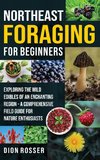 Northeast Foraging for Beginners