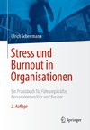 Stress und Burnout in Organisationen