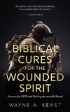 Biblical Cures For The Wounded Spirit