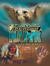 Apache Warrior Hawk