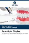 Befestigte Gingiva