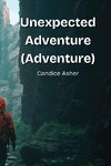 Unexpected  Adventure  (Adventure)